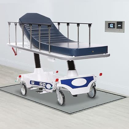 In-Floor Dialysis Scales