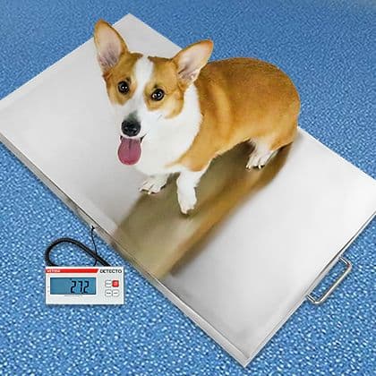 Veterinary Scales