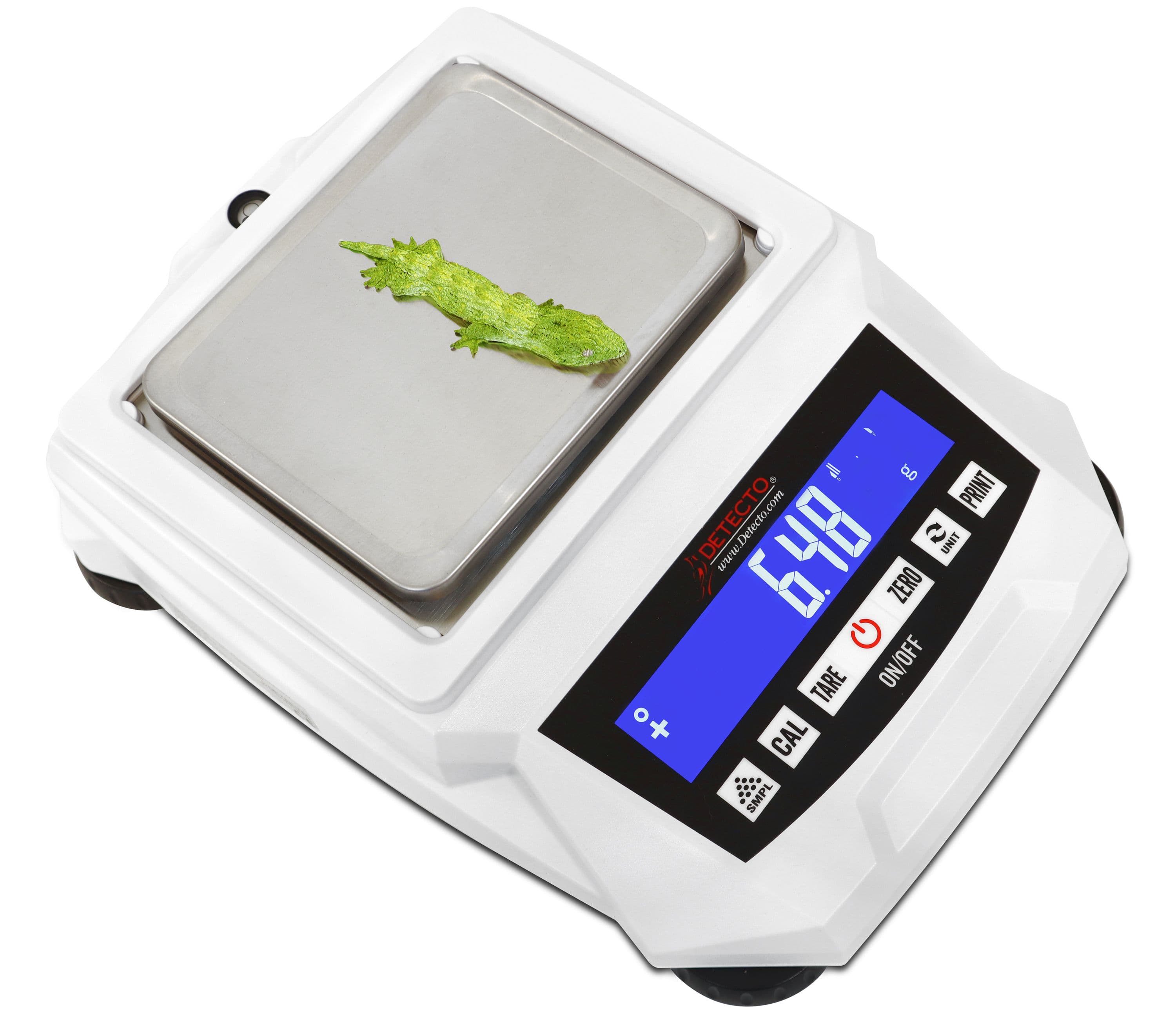 420-100_Gecko-3.jpg