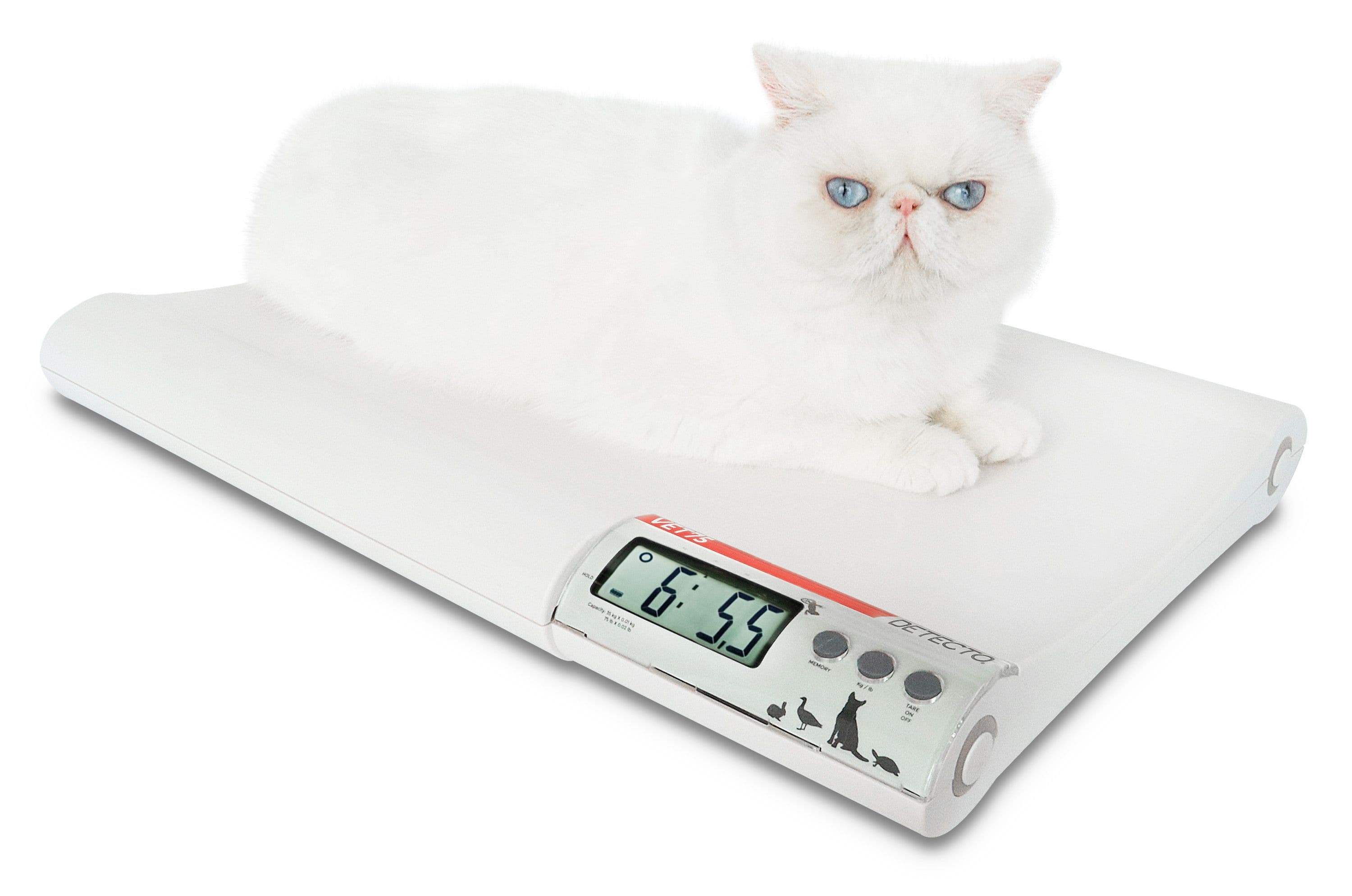 VET75_-_Cat_45_degrees.jpg