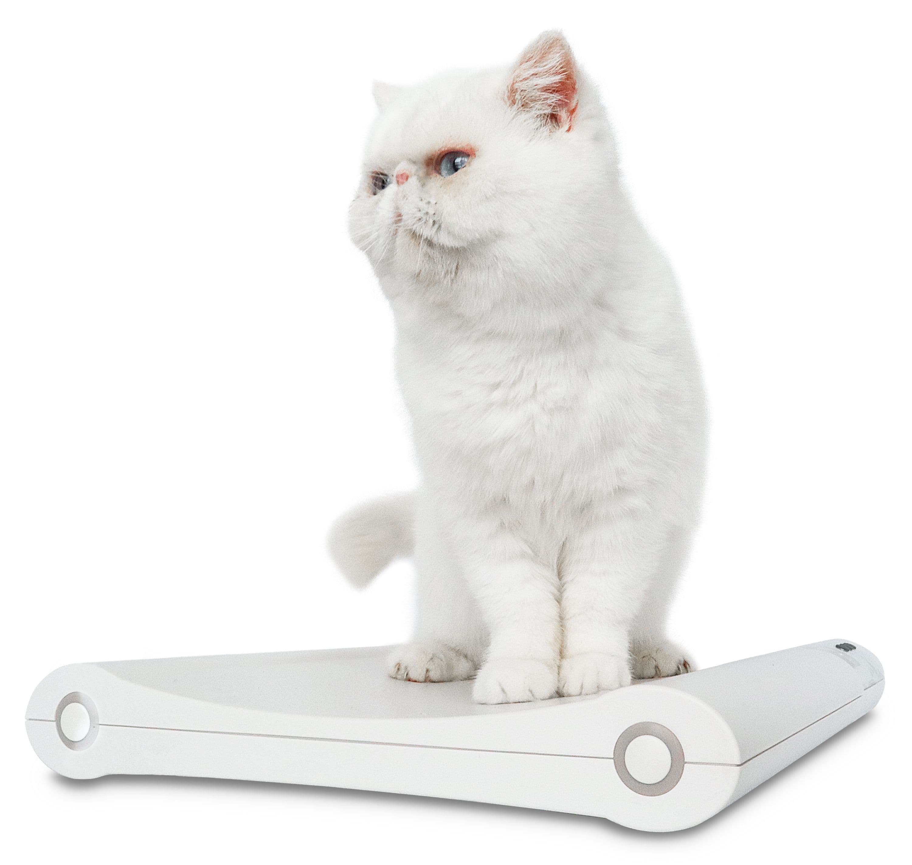 VET75_-_Cat_Side_Angle.jpg