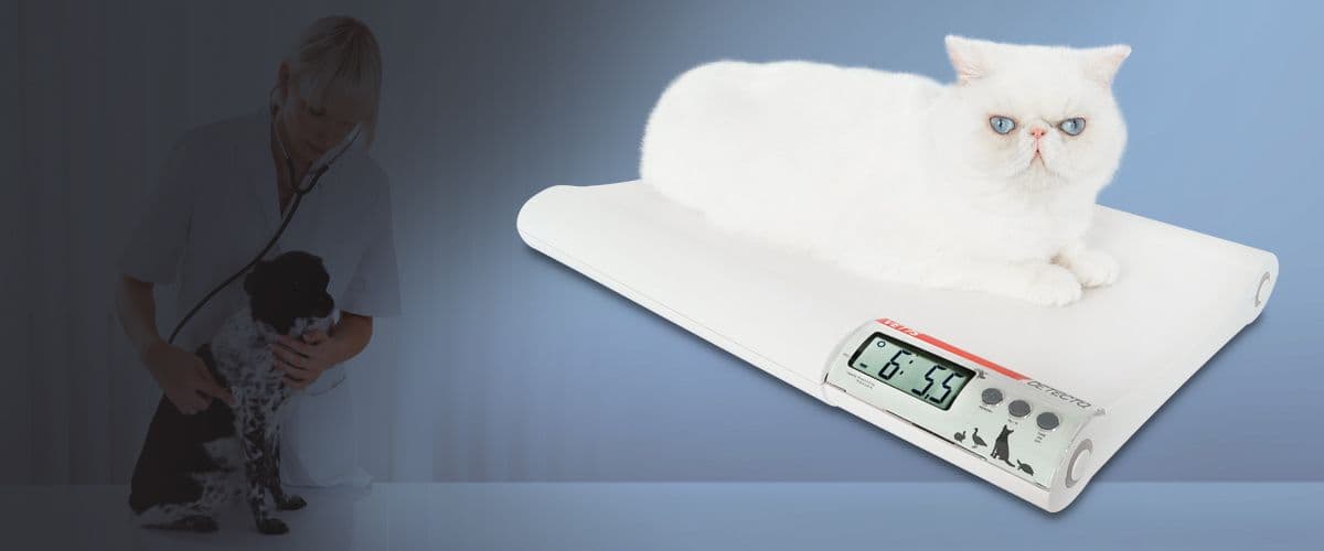 VET75 Small-Size Animal Veterinary Scale